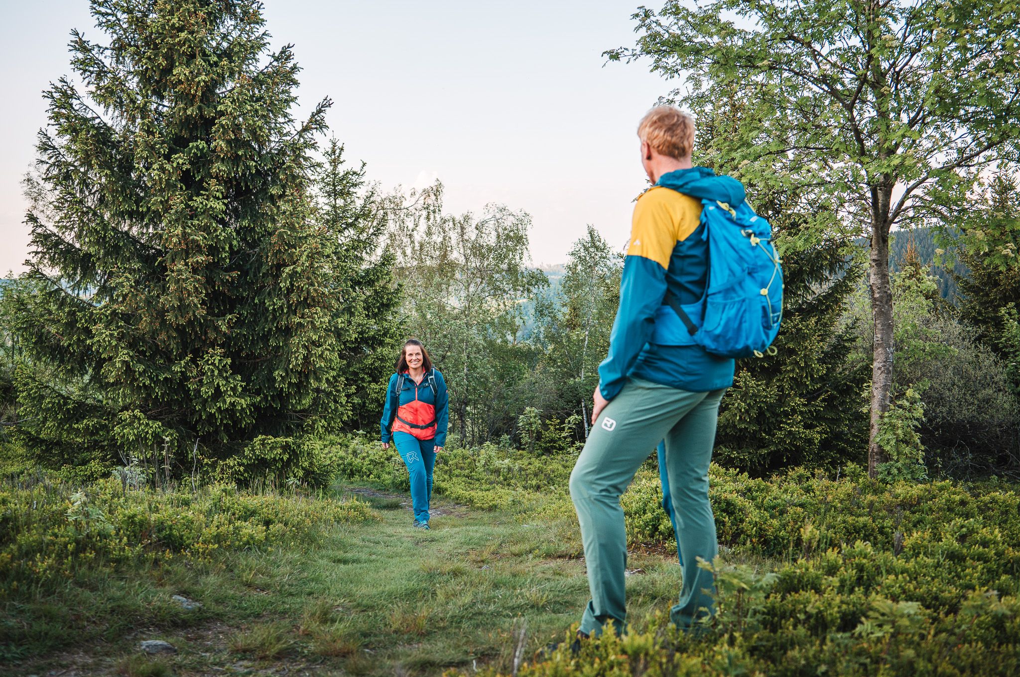 Wanderpaar läuft durch Beerensträucher auf dem Orenberg 