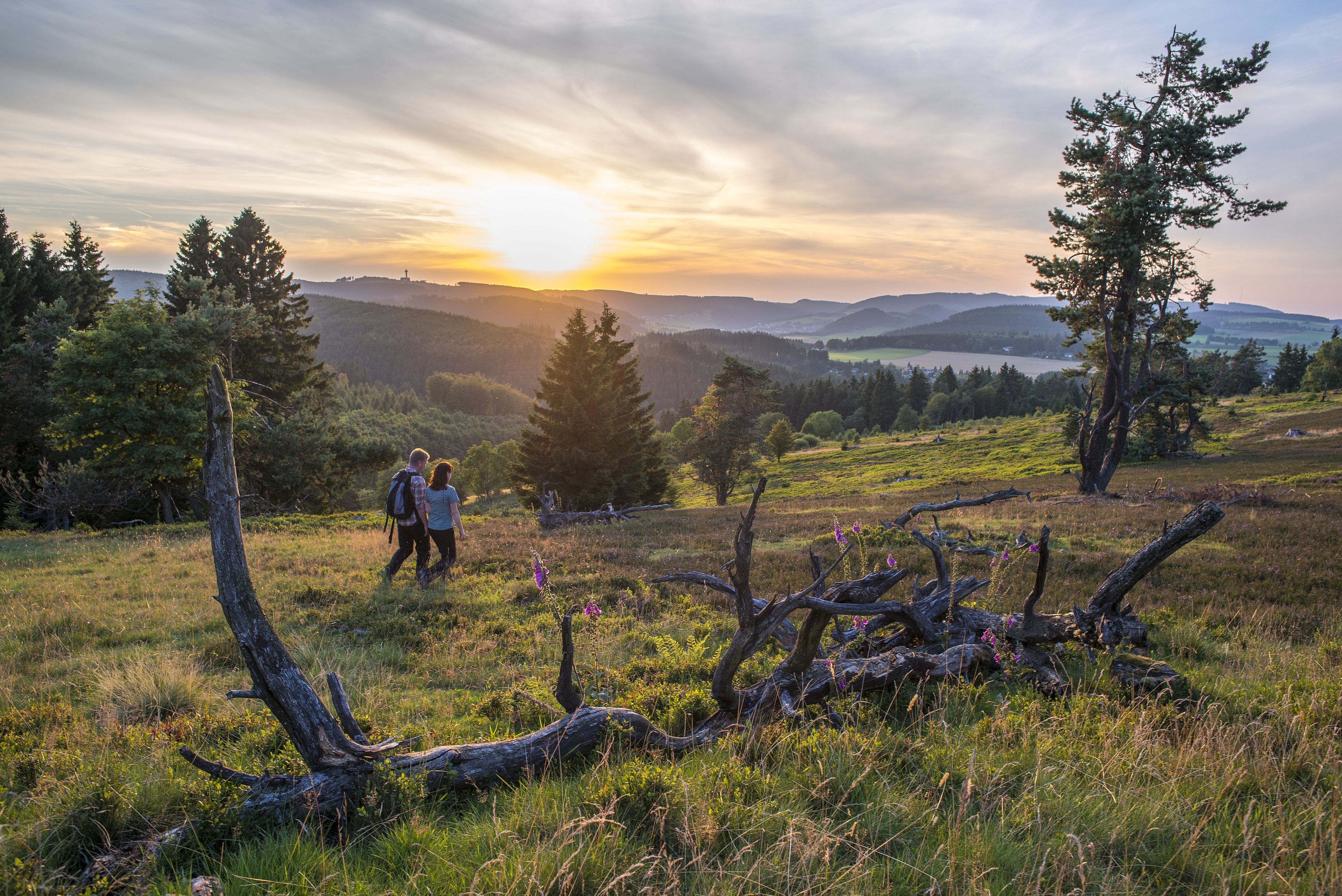 Wanderpaar in Hochheidelandschaft im Abendlicht