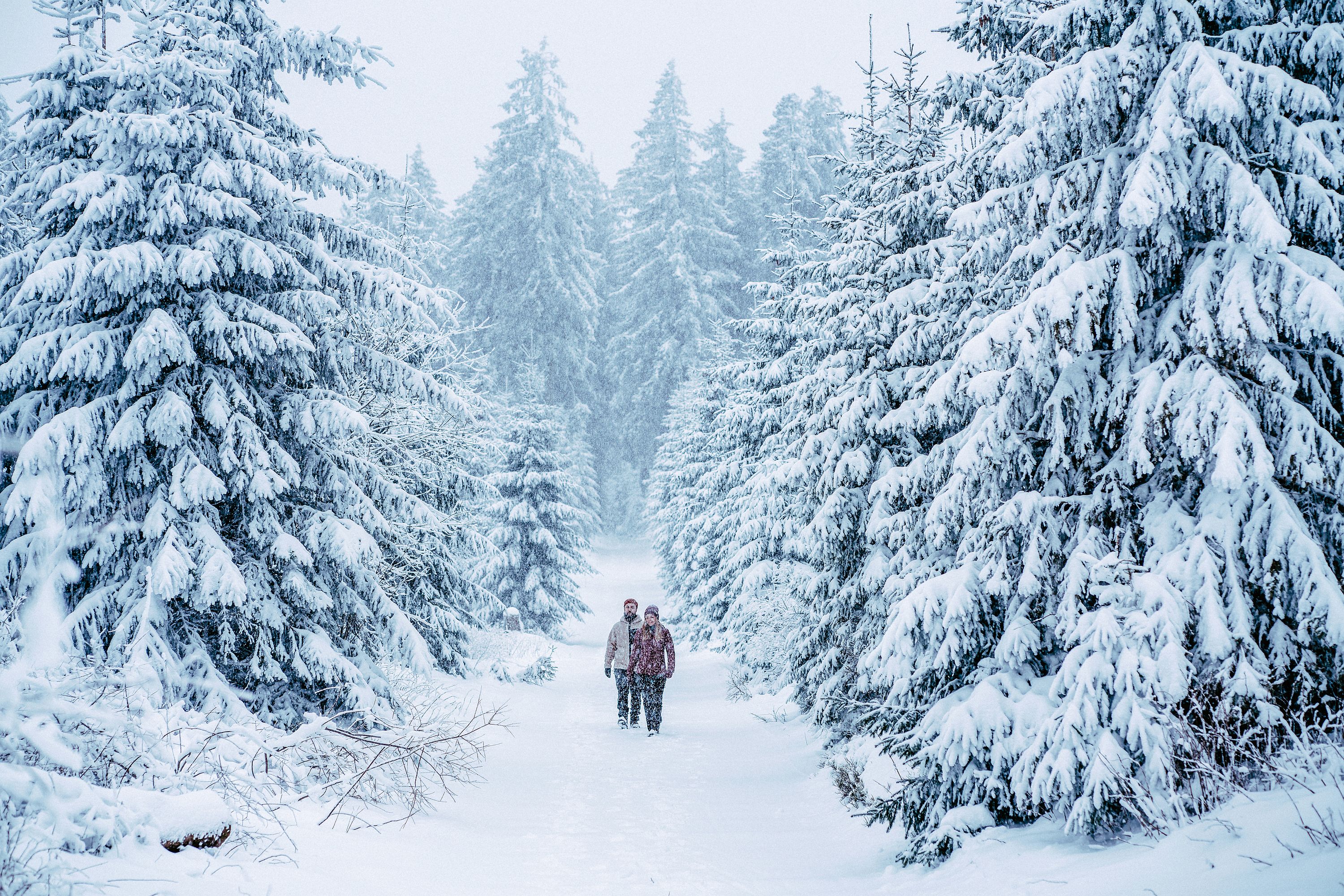 2 Wanderer gehen durch einen verschneiten Wald