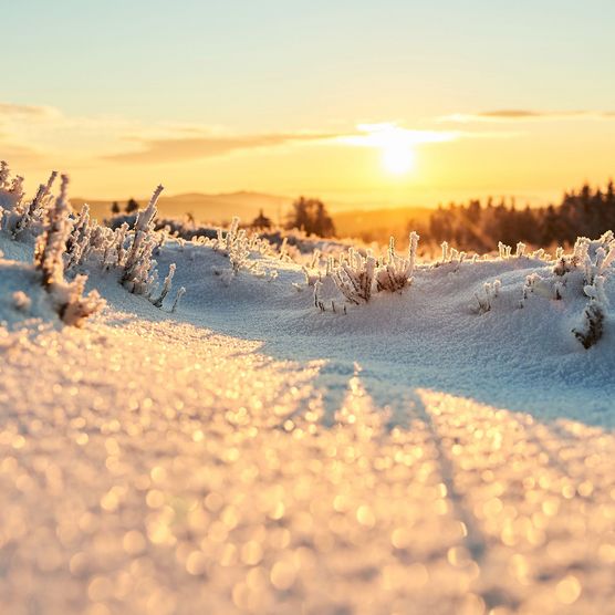 Sonnenaufgang im winterlichen Sauerland