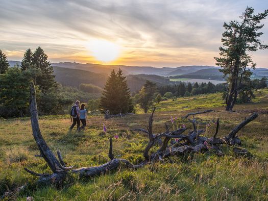 Wanderpaar in Hochheidelandschaft im Abendlicht