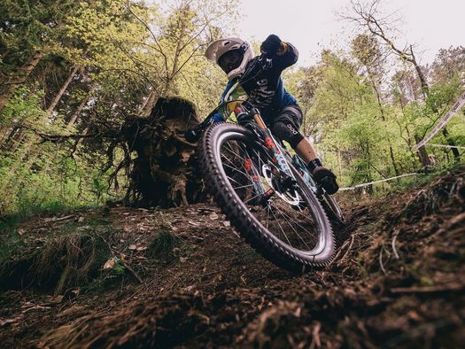 Mountainbiker auf der Strecke im Wald beim Bike-Festival Willingen