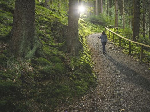 Frau mit Pilgerstab im Wald am Upländer Besinnungsweg