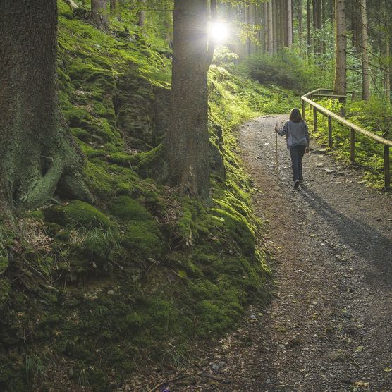 Frau mit Pilgerstab im Wald am Upländer Besinnungsweg