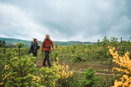 Paar wandert über einen Höhenzug im Sauerland