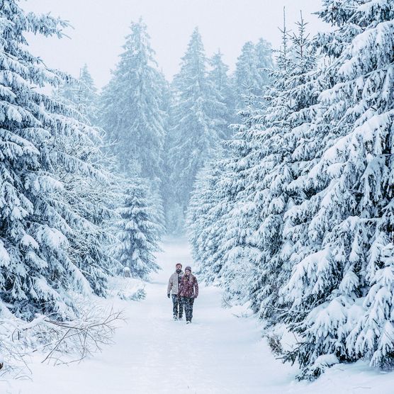 2 Wanderer gehen durch einen verschneiten Wald