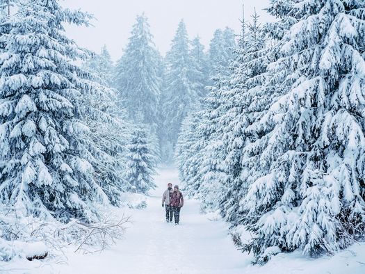 2 Wanderer gehen durch einen verschneiten Wald