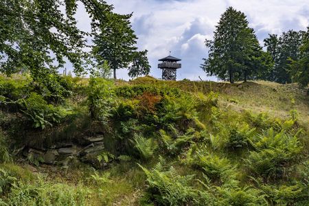 Wallring mit Mauerrest am Seelenort Schwalenburg 