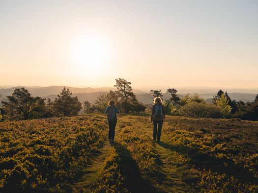 Wanderpaar in der Abendsonne auf dem Kahlen Pön