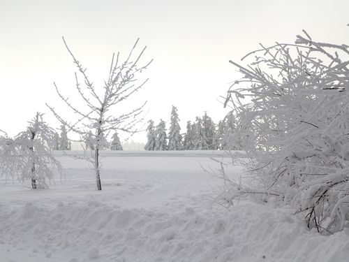 Verschneite Landschaft auf dem Ettelsberg 