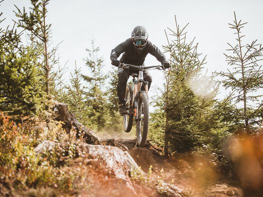 Ein Biker fährt über eine Baumwurzel auf dem Enduro-Trail im MTB Zone Bikepark