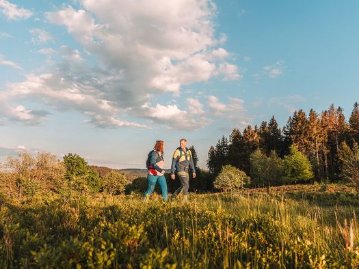 Wanderpaar in Heidelandschaft im sanften Abendlicht