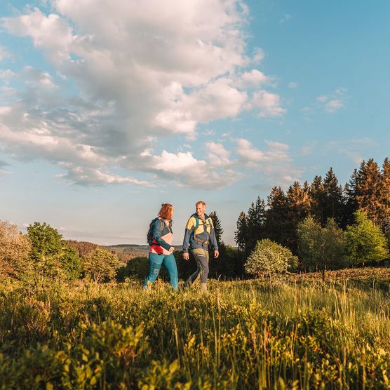 Wanderpaar in Heidelandschaft im sanften Abendlicht