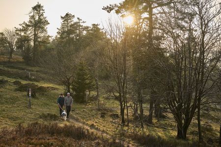 Paar mit Hund wandert im Abendlicht am Uplandsteig