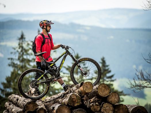 Mountainbiker steht mit seinem Bike auf einem Holzstapel, im Hintergrund verschwommene Berglandschaft