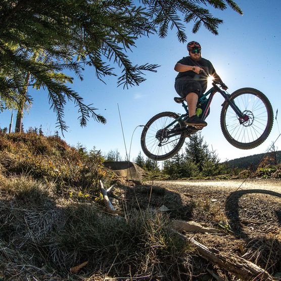 Biker im Gegenlicht beim Sprung auf der Freeridestrecke im MTB Zone Bikepark Willingen