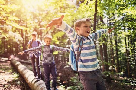 Kindergruppe balanciert im Wald bei Sonnenschein über einen Baumstamm