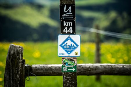 Wegweiser Wandern und Biken in Willingen