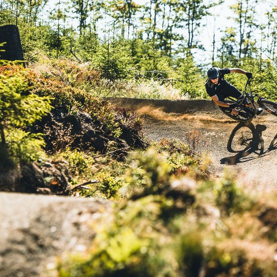 Biker in schwarzer Kleidung auf dem Flowtrail im MTB Zone Bikepark Willingen inmitten von Bäumen und Büschen