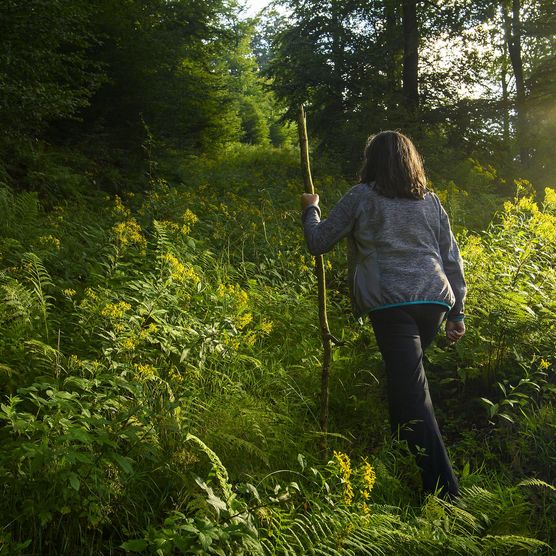 Frau mit Pilgerstab im Gebüsch auf dem Upländer Besinnungsweg