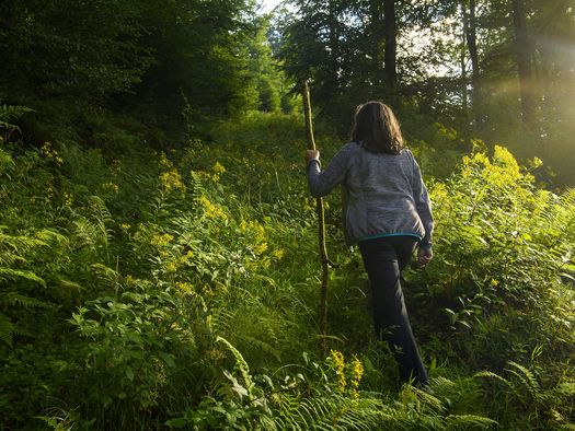 Frau mit Pilgerstab im Gebüsch auf dem Upländer Besinnungsweg