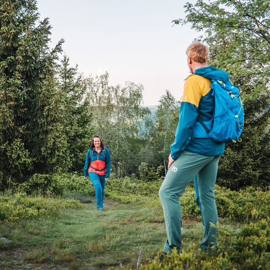 Wanderpaar läuft durch Beerensträucher auf dem Orenberg 