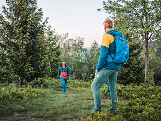 Wanderpaar läuft durch Beerensträucher auf dem Orenberg 