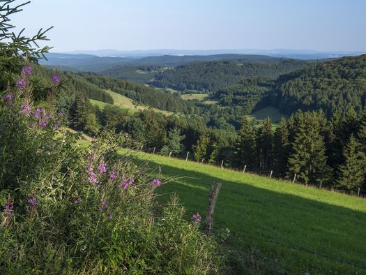 Blick ins Sauerland mit Wiesen, Wäldern und Bergen 