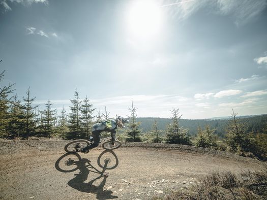 Biker im Gegenlicht fährt auf dem Flowtrail im MTB Zone Bikepark Willingen