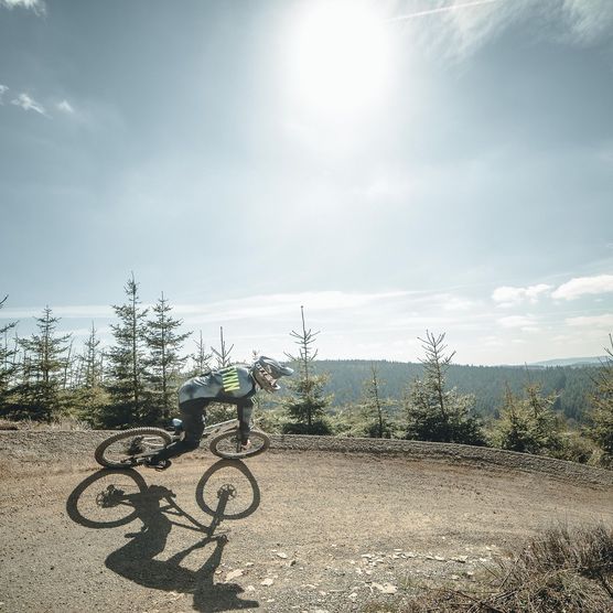 Biker im Gegenlicht fährt auf dem Flowtrail im MTB Zone Bikepark Willingen